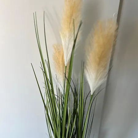 Mobile Lilika Ražanac